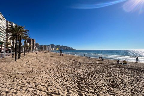 Erhvervsejendom i Benidorm, Alicante, Benidorm - € 900.000 | Ref: F0620/6084 - foto 24