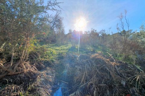 Finca i Motril, Granada, Motril - € 276.000 | Ref: L681 - foto 27