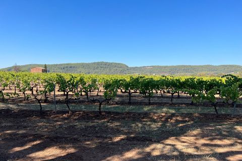 Villa a La Motte, Var, La Motte - € 1.900.000 | Ref: HH-15238322 - foto 9