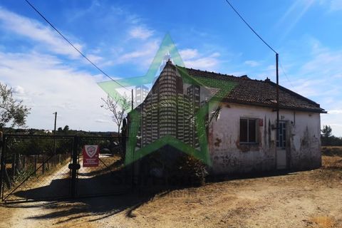 Gård i Tomar, Santarem, Tomar - € 415 000 | Ref: STAR_171 - foto 5