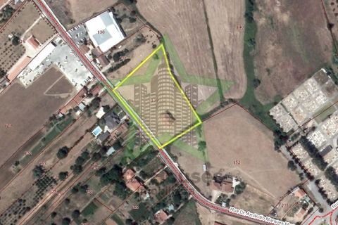 Helårsgrund i Tomar, Santarem, Tomar - € 350.000 | Ref: STAR_172 - foto 2