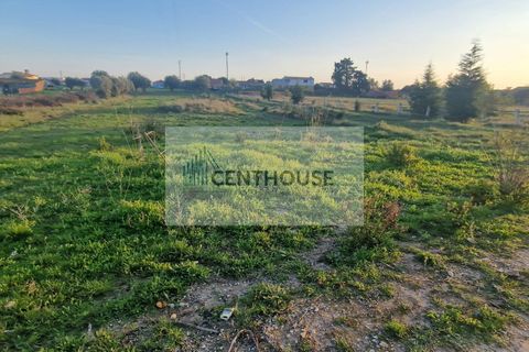 Helårsgrund i Cantanhede, Coimbra, Cantanhede - € 68.300 | Ref: C24001 - foto 1