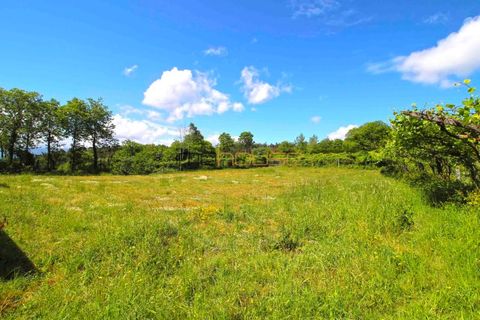 Landejendom i Cinfaes, Viseu, Cinfaes - € 49.500 | Ref: 00647FR - foto 9