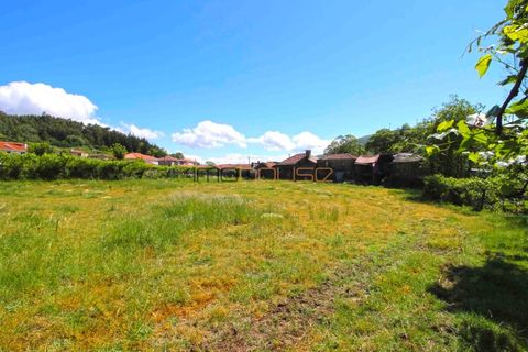 Landejendom i Cinfaes, Viseu, Cinfaes - € 49.500 | Ref: 00647FR - foto 10