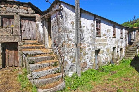 Landejendom i Cinfaes, Viseu, Cinfaes - € 49.500 | Ref: 00647FR - foto 11