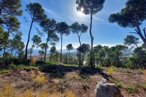 Byhus i L'Estartit, Gerona, L'Estartit - € 490.000 | Ref: 2969 - foto 26