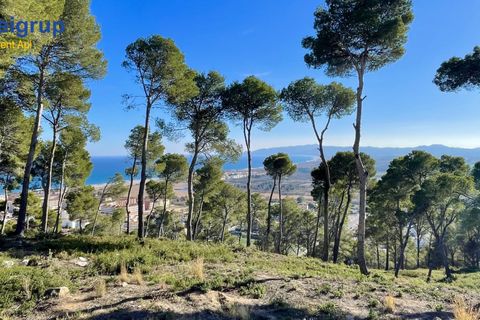 Byhus i L'Estartit, Gerona, L'Estartit - € 490.000 | Ref: 2969 - foto 32