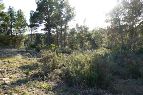 Farm hus i Mazaleon, Teruel, Mazaleon - € 49.000 | Ref: 0964 - foto 22
