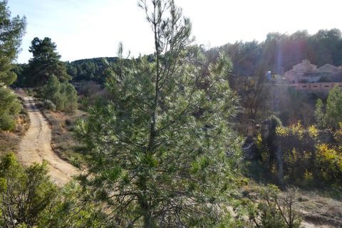 Farm hus i Mazaleon, Teruel, Mazaleon - € 49.000 | Ref: 0964 - foto 19