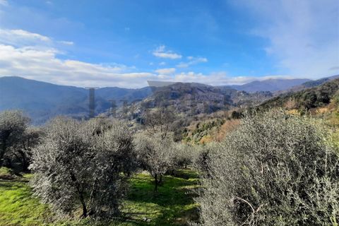 Villa i Borgo a Mozzano, Lucca, Borgo a Mozzano - € 290.000 | Ref: A3076 - foto 7