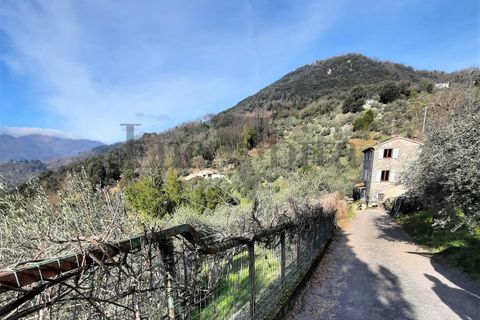 Villa i Borgo a Mozzano, Lucca, Borgo a Mozzano - € 290.000 | Ref: A3076 - foto 8
