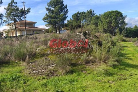 Helårsgrund i Viseu, Viseu, Viseu - € 65.000 | Ref: 189242007 - foto 1