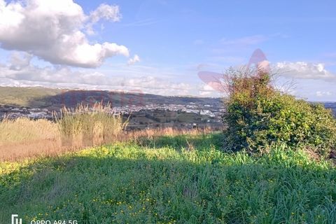 Helårsgrund i Bombarral, Leiria, Bombarral - € 63.000 | Ref: 98302MM - foto 1