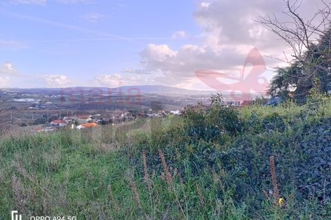Helårsgrund i Bombarral, Leiria, Bombarral - € 63.000 | Ref: 98302MM - foto 5