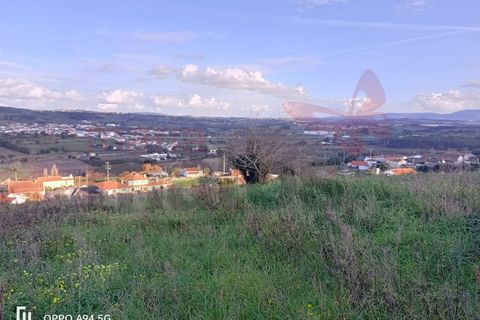 Helårsgrund i Bombarral, Leiria, Bombarral - € 63.000 | Ref: 98302MM - foto 6