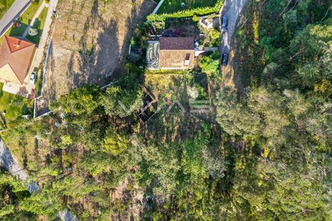 Villa i Vila Verde, Braga, Vila Verde - € 39.900 | Ref: 01-3276 - foto 4