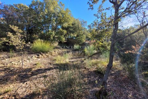 Terra a Tourtour, Var, Tourtour - € 146.000 | Ref: 718V276T - foto 2