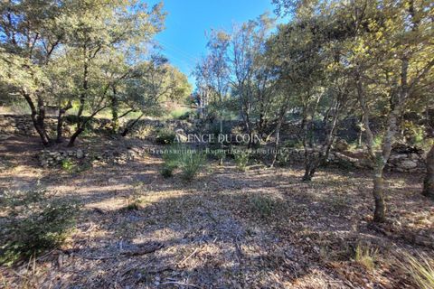 Terra a Tourtour, Var, Tourtour - € 146.000 | Ref: 718V276T - foto 4