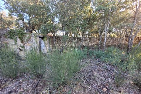 Terra a Tourtour, Var, Tourtour - € 146.000 | Ref: 718V276T - foto 6