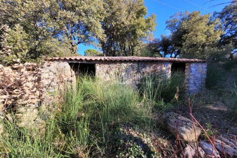 Terra a Tourtour, Var, Tourtour - € 146.000 | Ref: 718V276T - foto 9