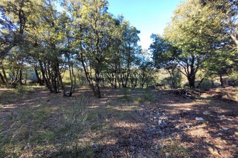 Terra a Tourtour, Var, Tourtour - € 146.000 | Ref: 718V276T - foto 10