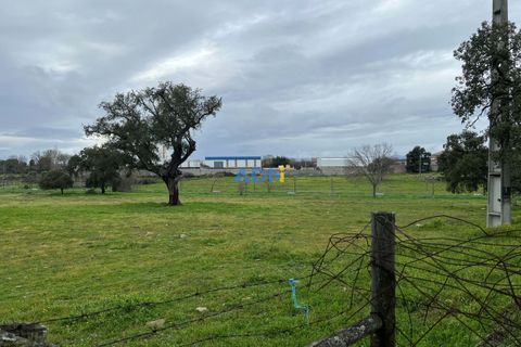 Terra a Alcains, Castelo Branco, Alcains - € 160.000 | Ref: 124007 - foto 2