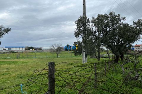 Terra a Alcains, Castelo Branco, Alcains - € 160.000 | Ref: 124007 - foto 3