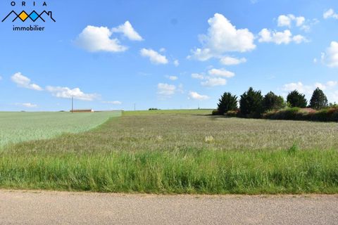 Helårsgrund i Seicheprey, Meurthe-et-Moselle, Seicheprey - € 25.000 | Ref: 5714722 - foto 1
