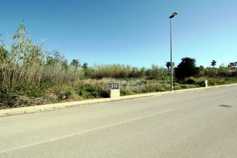 Terra a Oliva, Valencia, Oliva - € 410.000 | Ref: AB4420 - foto 5