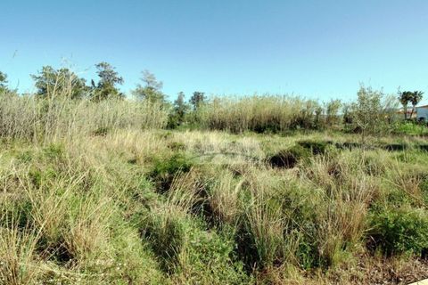 Terra a Oliva, Valencia, Oliva - € 410.000 | Ref: AB4420 - foto 6