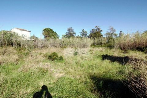 Terra a Oliva, Valencia, Oliva - € 410.000 | Ref: AB4420 - foto 7