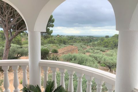 Landejendom i Camarles, Tarragona, Camarles - € 525.000 | Ref: Cam42bar - foto 9