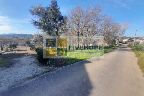 Helårsgrund i Lousa, Coimbra, Lousa - € 85.000 | Ref: SÒL_141 - foto 3