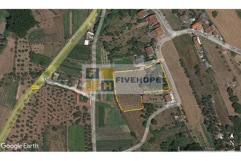 Helårsgrund i Lousa, Coimbra, Lousa - € 85.000 | Ref: SÒL_141 - foto 9