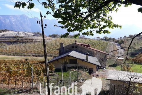Villa a Ala, Turin, Ala - € 690.000 | Ref: N028 - foto 3
