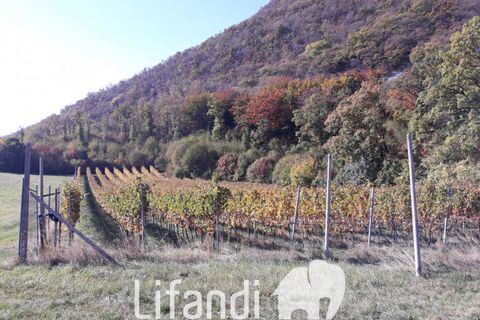 Villa a Ala, Turin, Ala - € 690.000 | Ref: N028 - foto 5