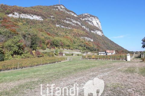 Villa a Ala, Turin, Ala - € 690.000 | Ref: N028 - foto 7