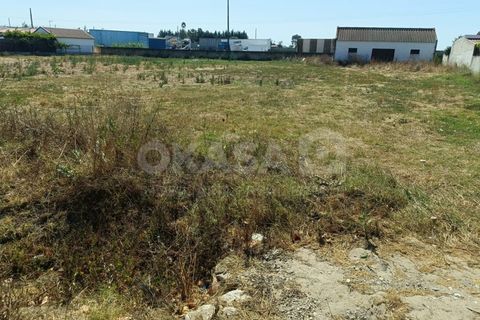 Helårsgrund i Palmela, Setubal, Palmela - € 215.000 | Ref: TER_11378 - foto 2