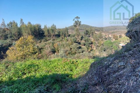 Villa a Arganil, Coimbra, Arganil - € 49.000 | Ref: 578 - foto 17
