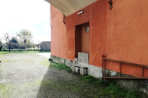 Erhvervsejendom i Pezzana, Vercelli, Pezzana - € 100.000 | Ref: RG006-23 - foto 7
