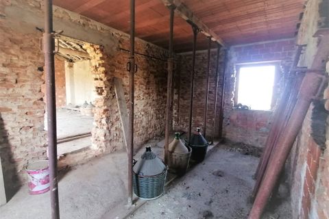 Villa a Pezzana, Vercelli, Pezzana - € 58.000 | Ref: LG006-23 - foto 8