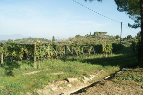 Landejendom i Palaia, Pisa, Palaia - € 1.100.000 | Ref: 1003-172C - foto 6