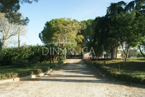 Landejendom i Palaia, Pisa, Palaia - € 1.100.000 | Ref: 1003-172C - foto 8