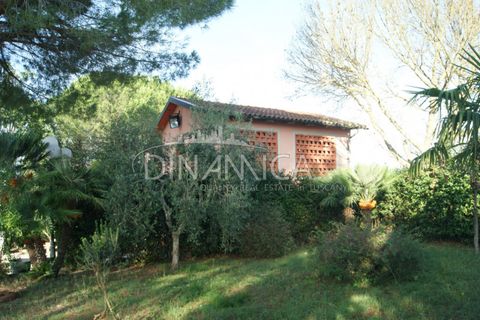 Landejendom i Palaia, Pisa, Palaia - € 1.100.000 | Ref: 1003-172C - foto 9