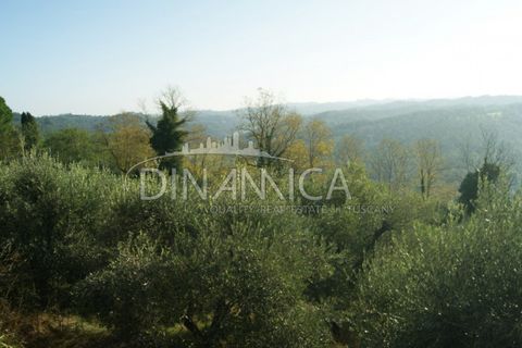 Landejendom i Palaia, Pisa, Palaia - € 1.100.000 | Ref: 1003-172C - foto 18