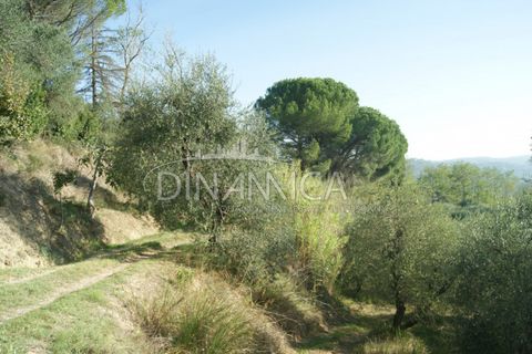 Landejendom i Palaia, Pisa, Palaia - € 1.100.000 | Ref: 1003-172C - foto 26