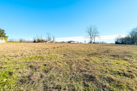 Terra a Soriso, Novara, Soriso - € 75.000 | Ref: 1-SORTER - foto 5