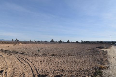 Terra a Elche, Alicante, Elche - € 160.000 | Ref: parcelavalverdebajo/10946 - foto 4
