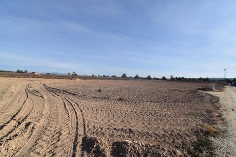 Terra a Elche, Alicante, Elche - € 160.000 | Ref: parcelavalverdebajo/10946 - foto 5
