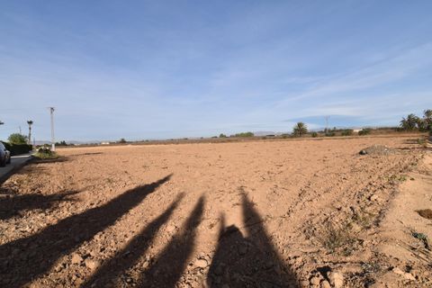 Terra a Elche, Alicante, Elche - € 160.000 | Ref: parcelavalverdebajo/10946 - foto 7